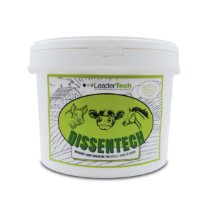 Dissentech